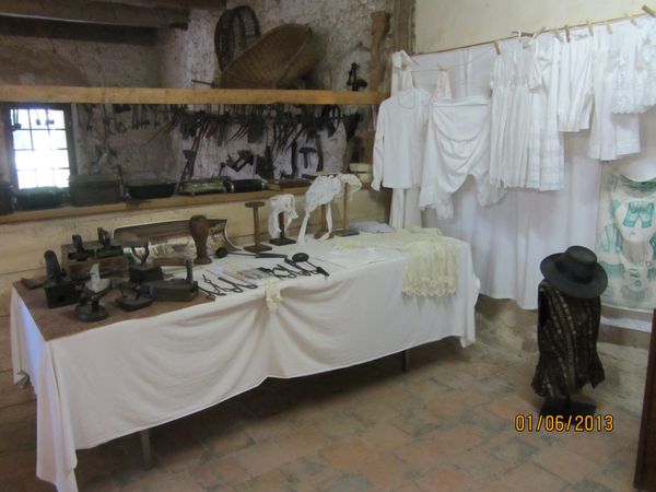 IMG 0286